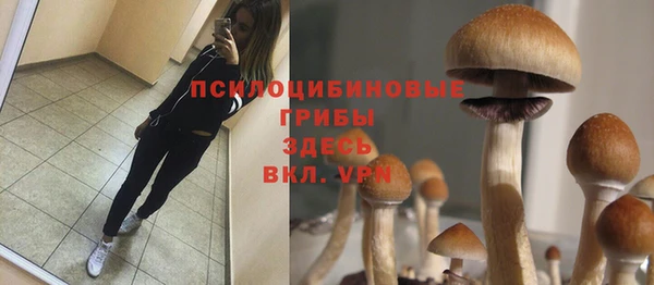 трава Балабаново
