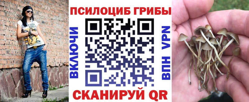 Галлюциногенные грибы Magic Shrooms  купить   Пролетарск 