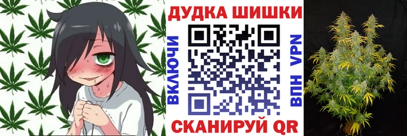 Конопля семена  Пролетарск 